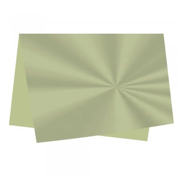 SUJINHO 49X69CM LISO PISTACHE 50 UN