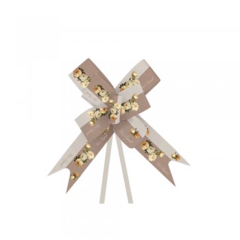 LACO FACIL GIULLIA 30cmX51cm 10un