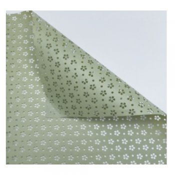 POLI VIVACE AERIS VERDE 58cmX58cm 10un