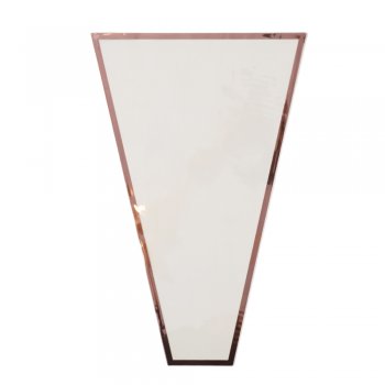 BOUQUET CONE VIVACE FRAMEA 28cm X 9cm X 44cm 30un