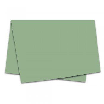 SUJINHO 49X69CM MATE LISO VERDE BOTANIC 50un