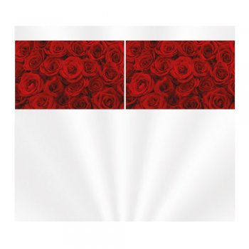 SACO TRANSPARENTE CESTA SCARLET 45cm x 59cm Pacote 50 Peças