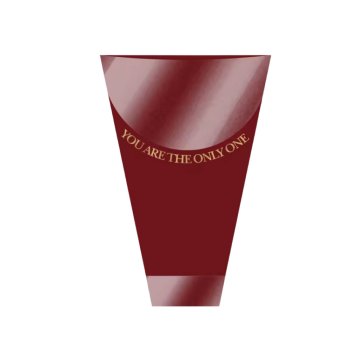 BOUQUET CONE VIVACE ONLY ONE 28cm x 11cm x 41cm Pacote 10 Peças BORGONHA