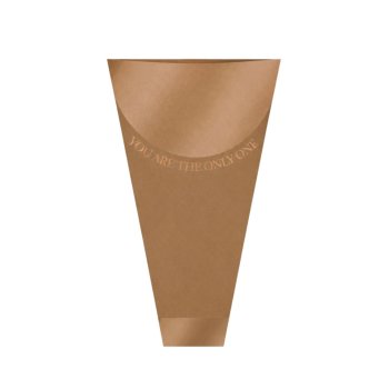 BOUQUET CONE VIVACE ONLY ONE 28cm x 11cm x 41cm Pacote 10 Peças KRAFT