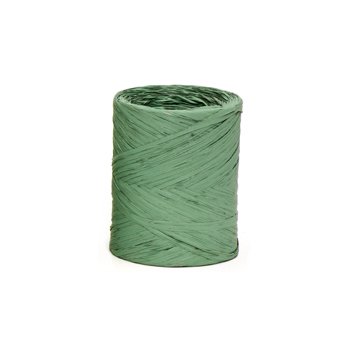 RAPHIA MASTER SINTÉTICA LISA . 100m 1 Rolo VERDE BOTANIC R55